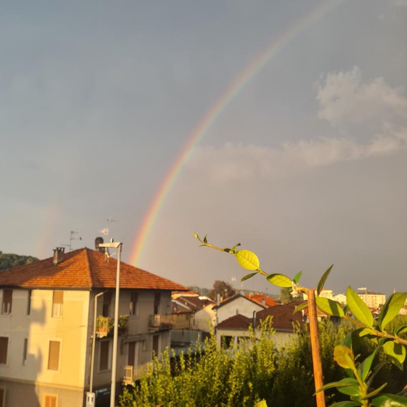 Fotosegnalazione di Vigliano biellese