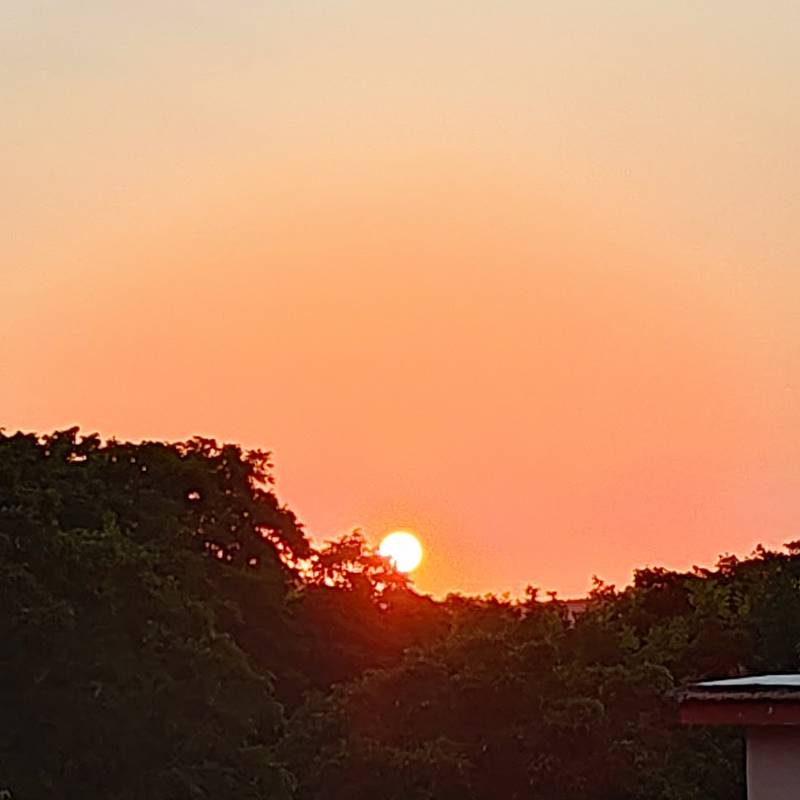 Fotosegnalazione di Quindici