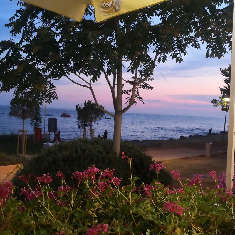 Fotosegnalazione di Umago