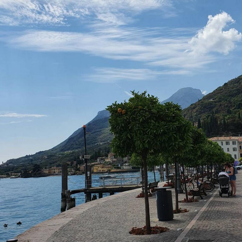 Fotosegnalazione di Gargnano