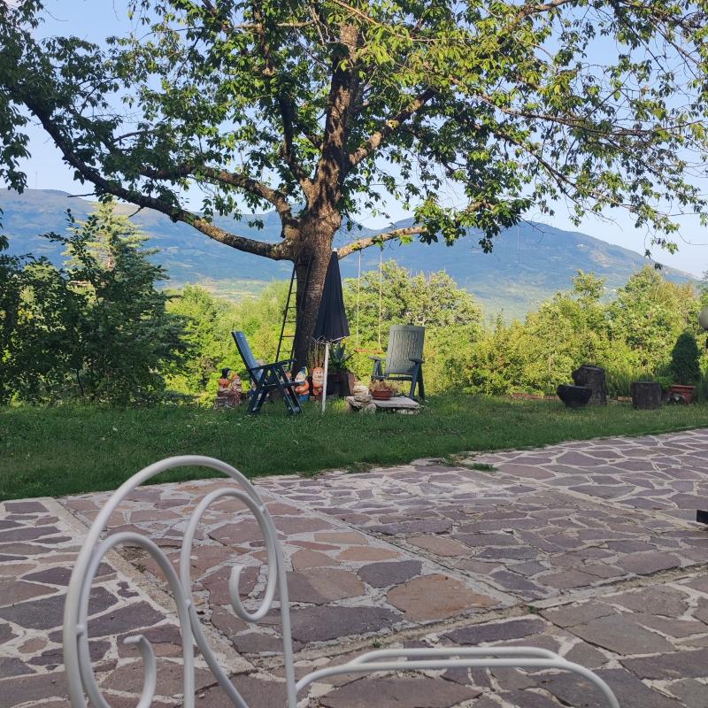Fotosegnalazione di Belmonte del sannio