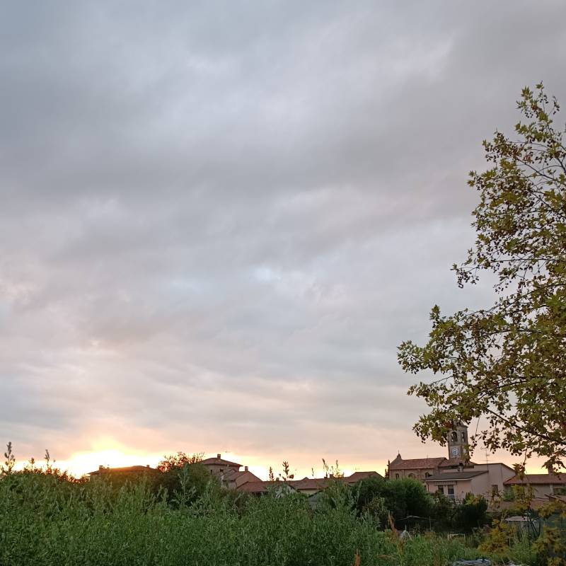 Fotosegnalazione di Gambarana