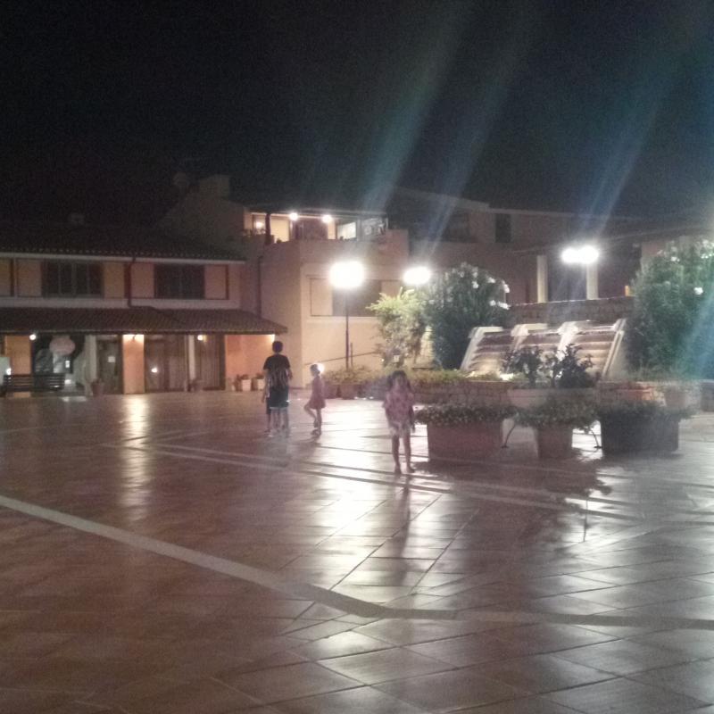Porto coda cavallo serata fresca