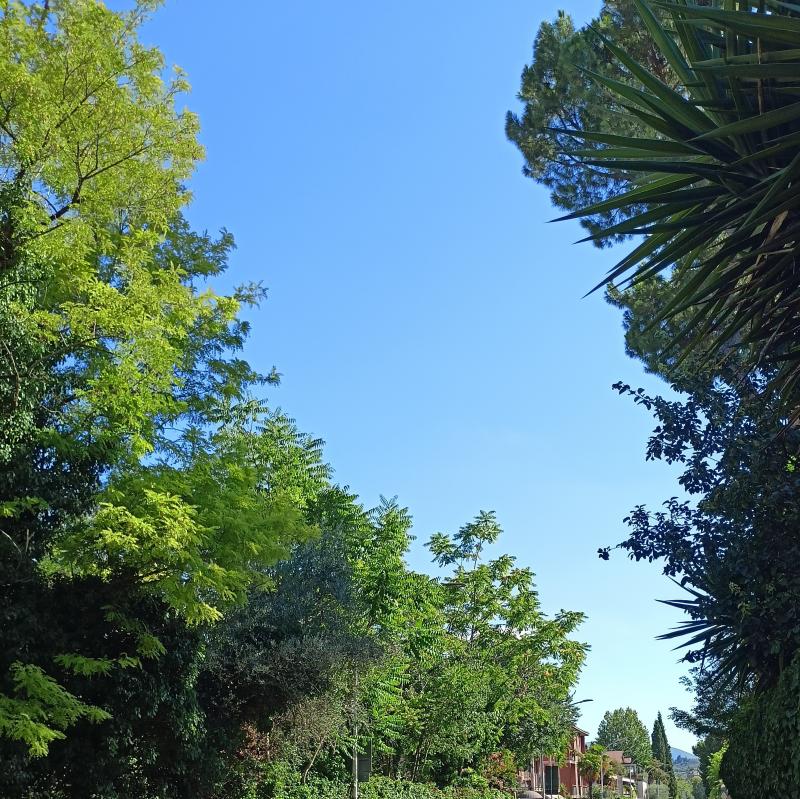 Fotosegnalazione di Terni centro urbano