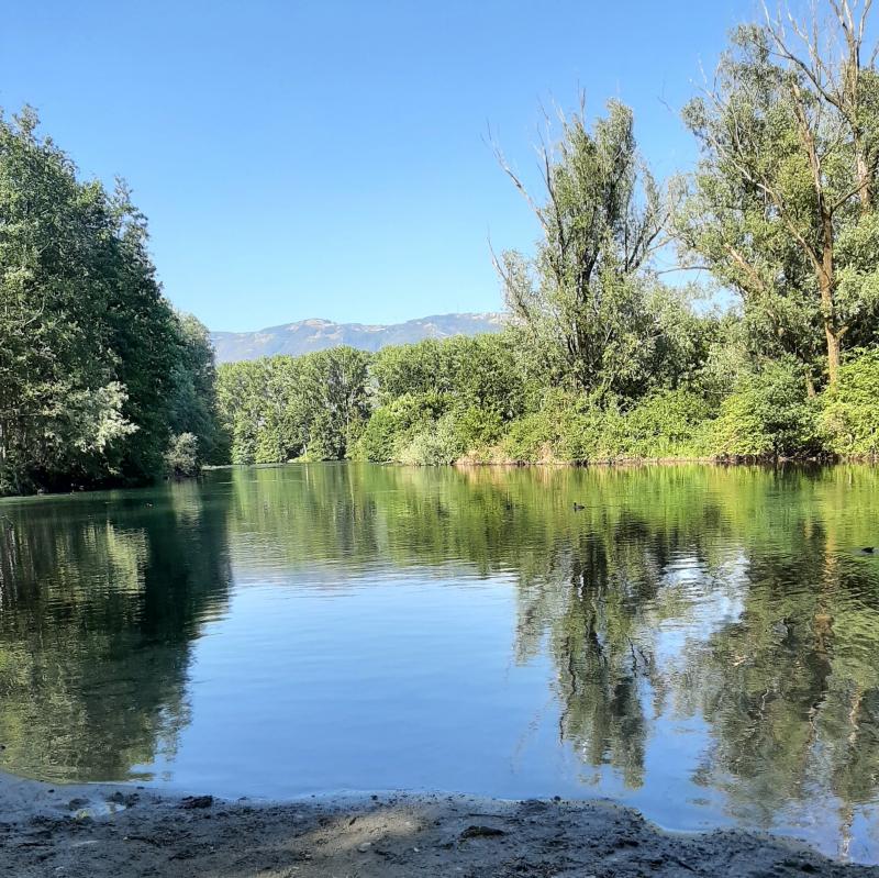 Fotosegnalazione di Calco
