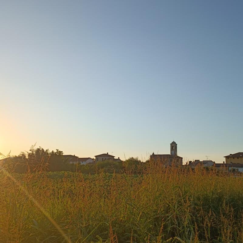 Fotosegnalazione di Gambarana