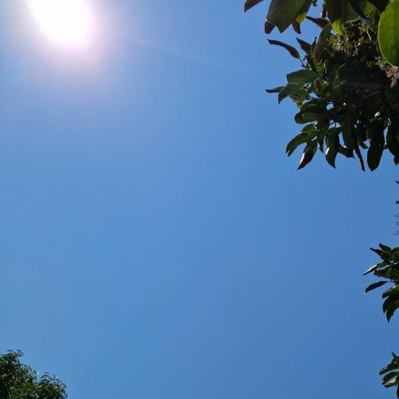 Fotosegnalazione di Sant'egidio del monte albino