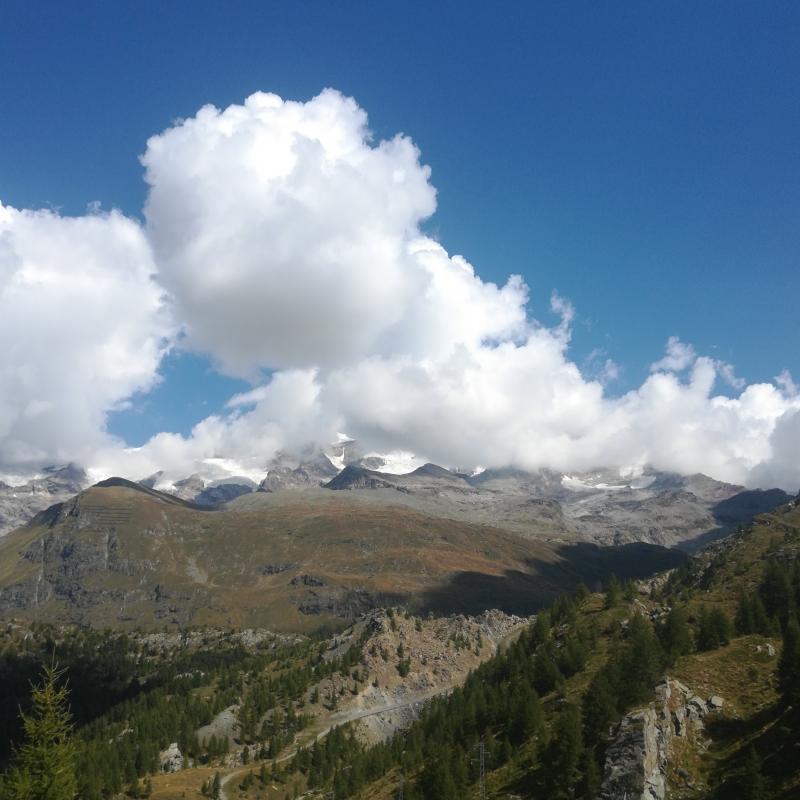 Fotosegnalazione di Gressoney la trinite'