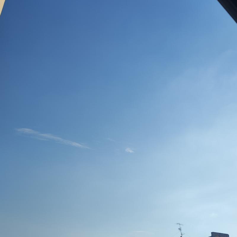 Fotosegnalazione di Firenze campo di marte