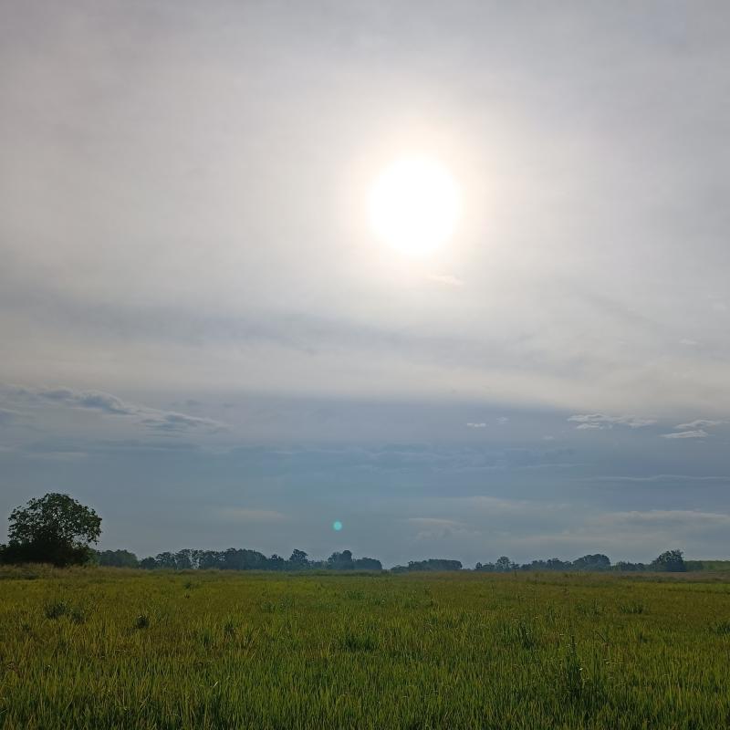 Fotosegnalazione di Gambarana