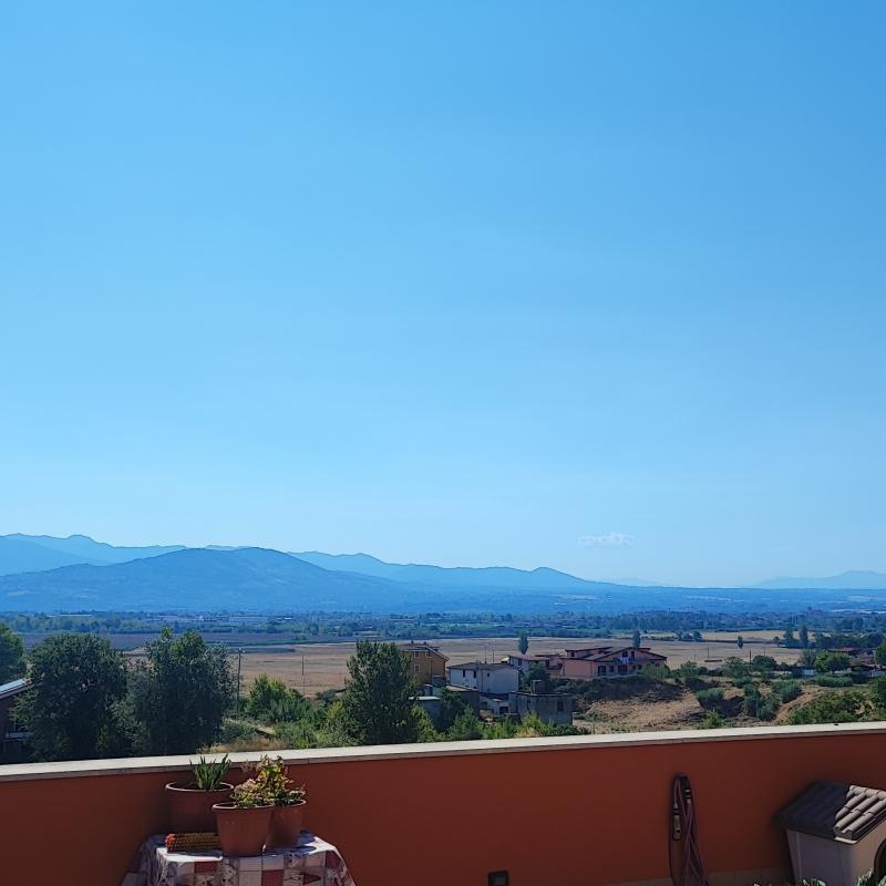 Fotosegnalazione di Guidonia montecelio