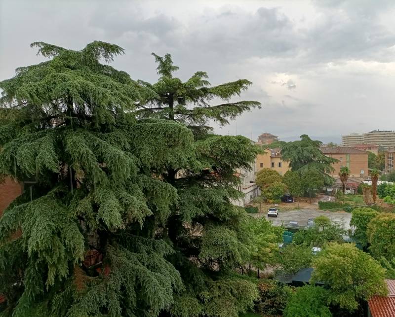 l'estate sta finendo e un anno se ne va'....