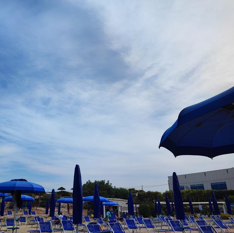 Monopoli