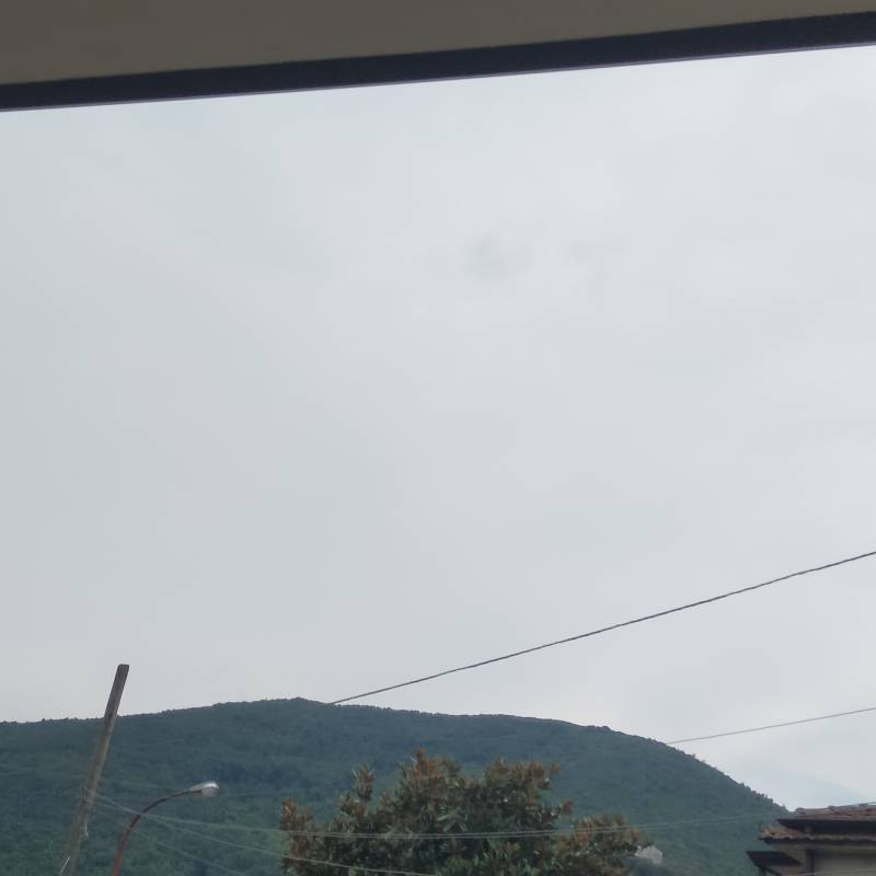 Fotosegnalazione di Baia e latina