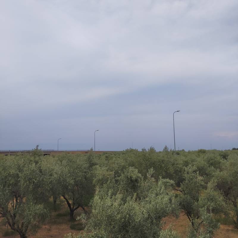 Fotosegnalazione di Corigliano-rossano
