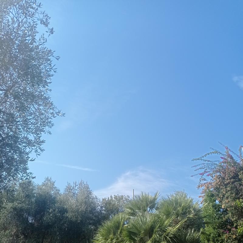 Fotosegnalazione di Diano marina