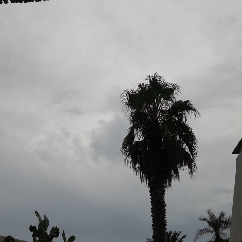 Fotosegnalazione di Torre chianca