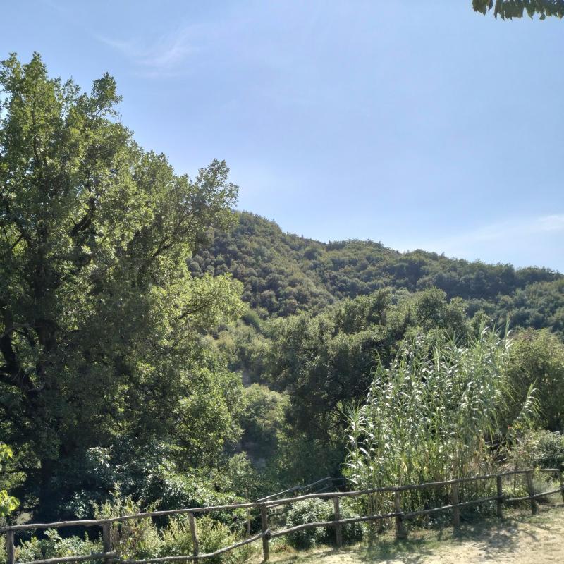 Fotosegnalazione di Premilcuore