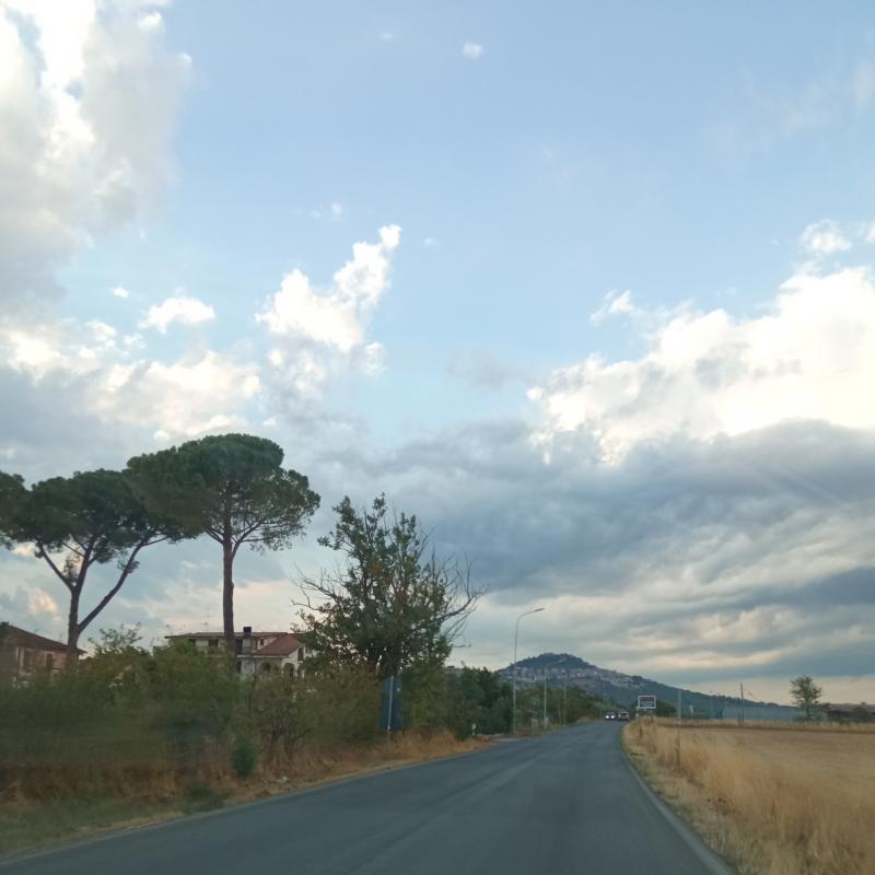 Fotosegnalazione di Guidonia montecelio