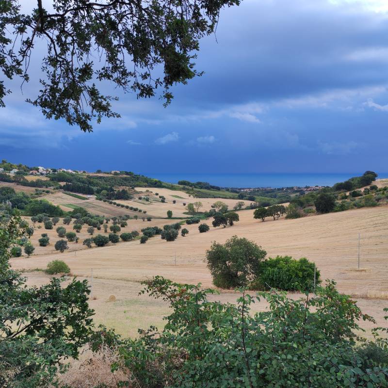 Fotosegnalazione di Potenza picena
