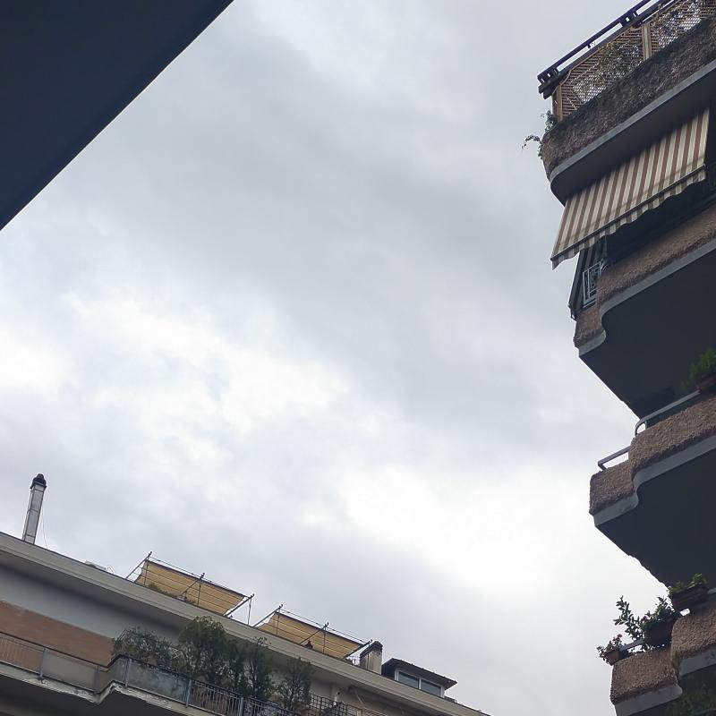 Fotosegnalazione di Roma nomentano