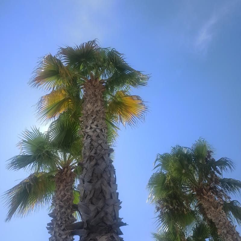 Fotosegnalazione di San benedetto del tronto
