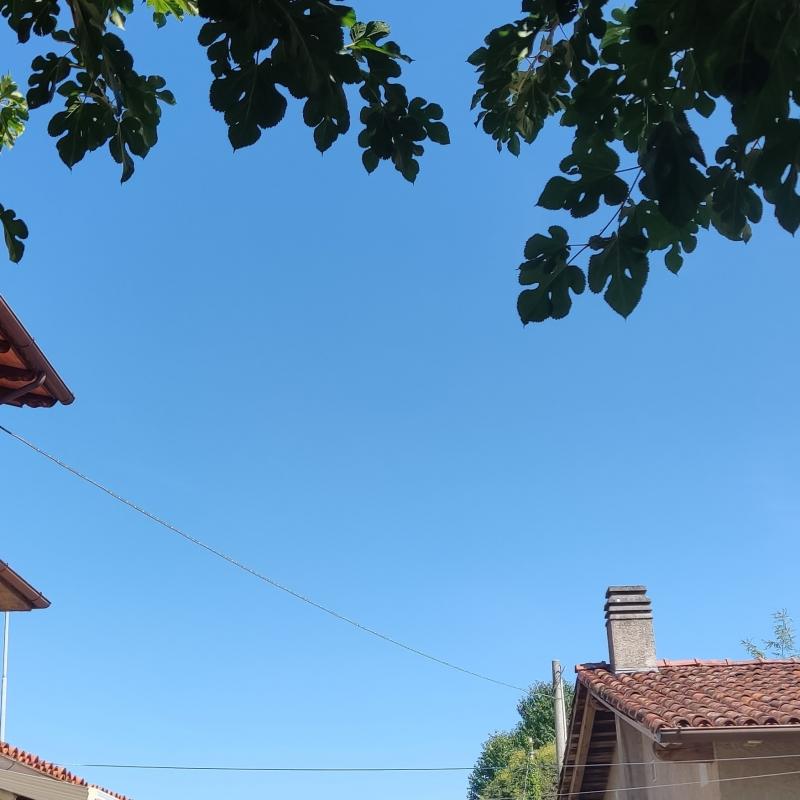 Fotosegnalazione di San quirino