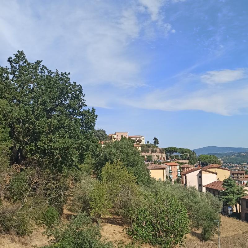 Fotosegnalazione di Chiusi