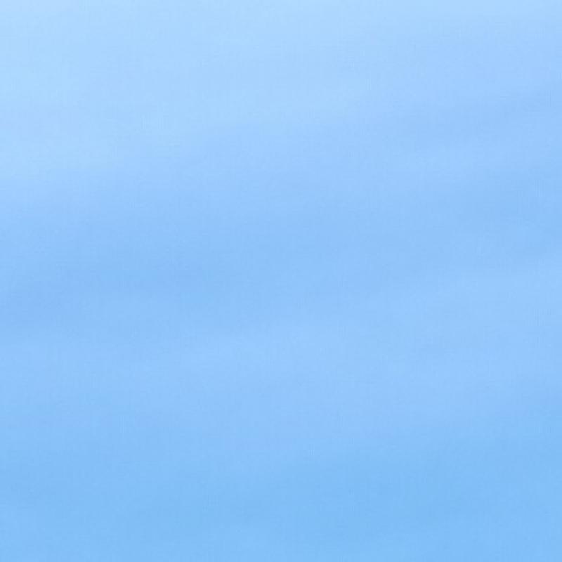 Fotosegnalazione di Bellaria igea marina