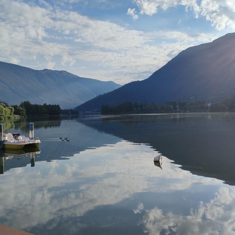 Fotosegnalazione di Spinone al lago