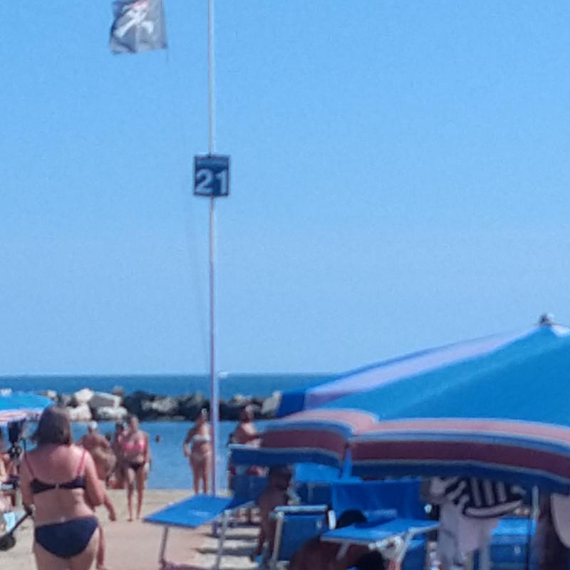 Fotosegnalazione di Bellaria igea marina