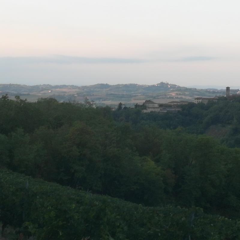 Fotosegnalazione di Rosignano monferrato
