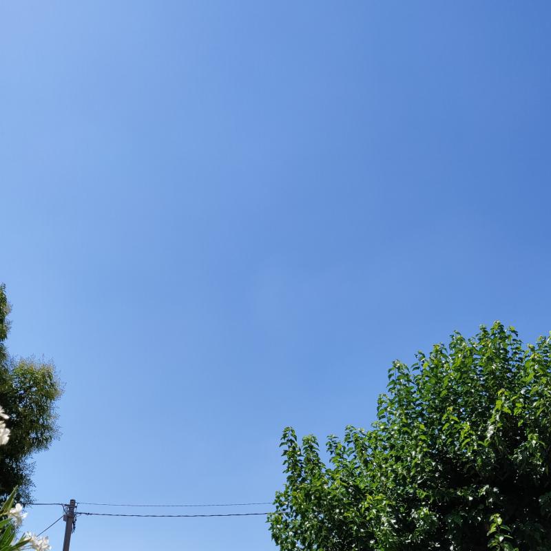 Fotosegnalazione di Gorizia lucinco
