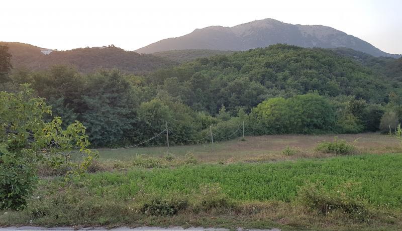 frazione di cisterna e monte friento