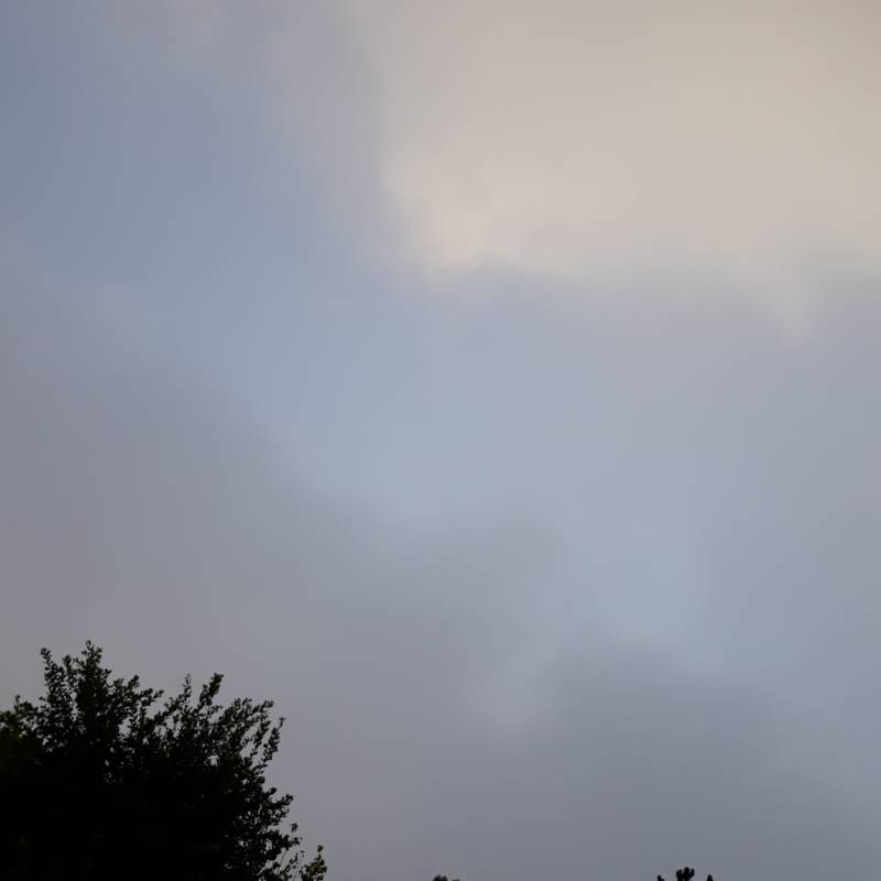 Fotosegnalazione di Mezzano ra
