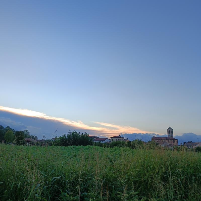 Fotosegnalazione di Gambarana