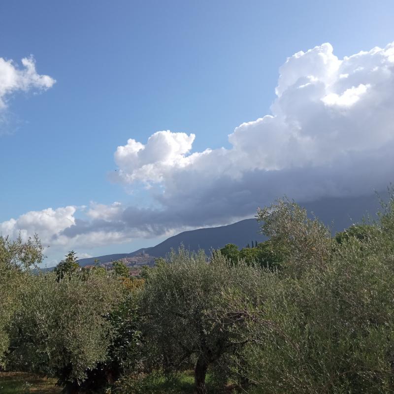 Fotosegnalazione di Palombara sabina