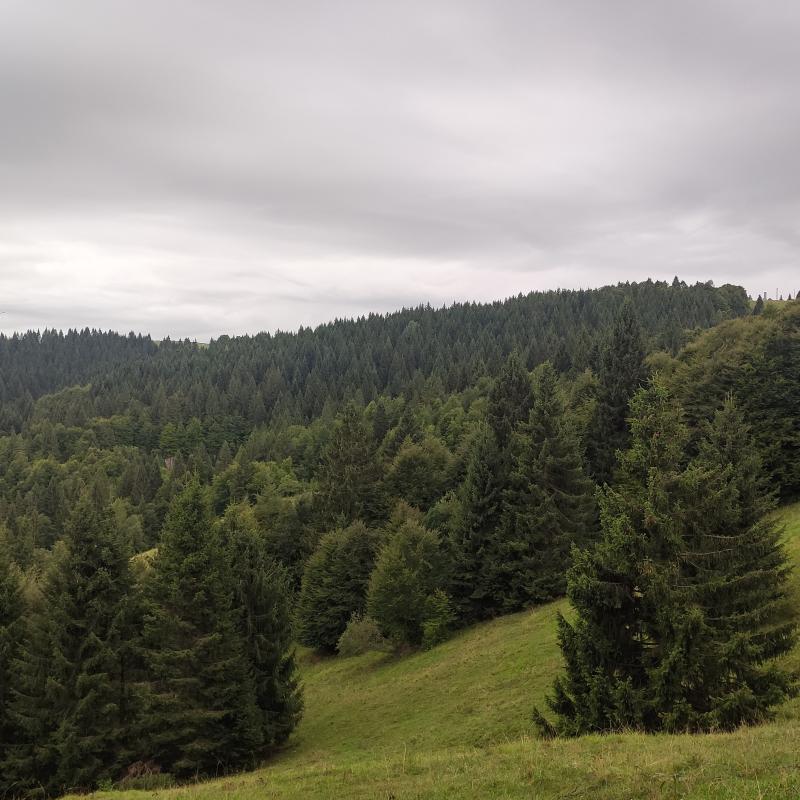 Fotosegnalazione di Asiago