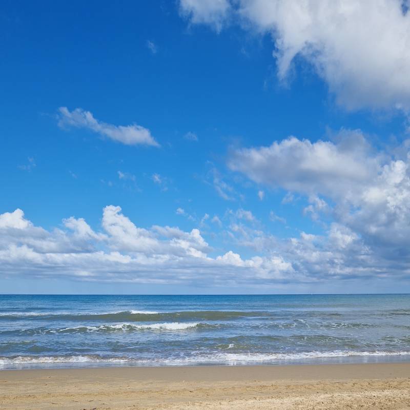 Fotosegnalazione di San vincenzo