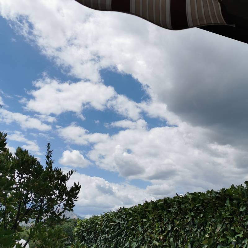 Fotosegnalazione di Vinchiaturo