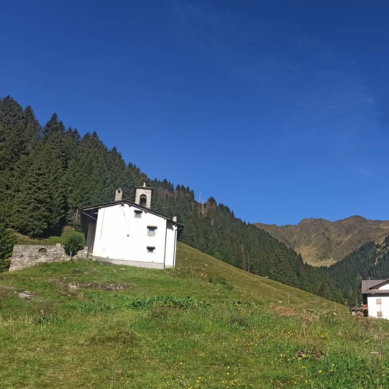 Fotosegnalazione di Cambrembo