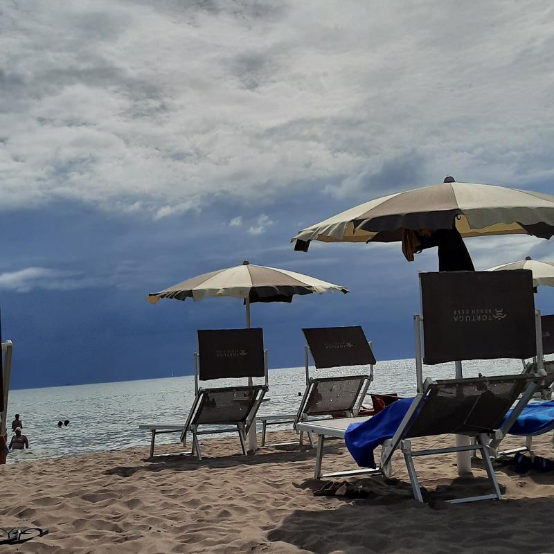 Fotosegnalazione di Rosolina mare