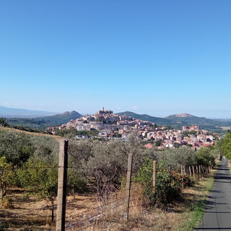 Fotosegnalazione di Palombara sabina