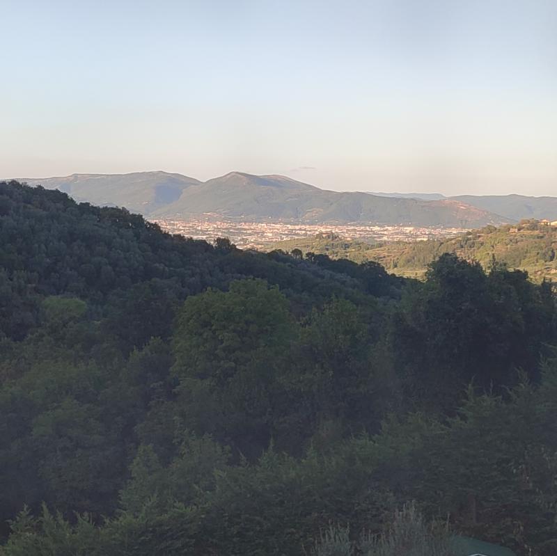 Fotosegnalazione di Carmignano