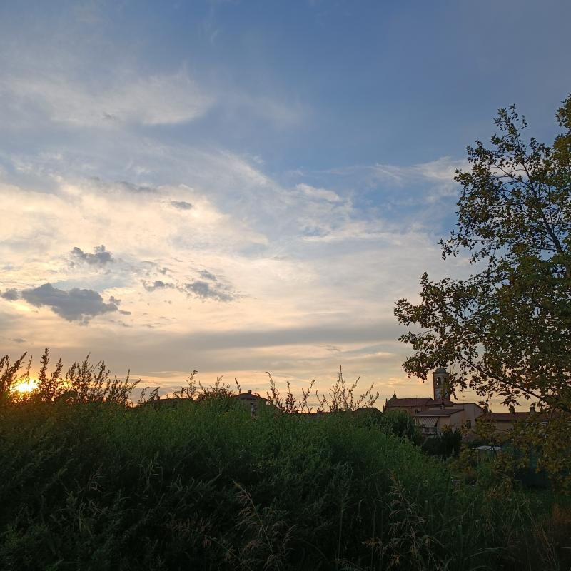 Fotosegnalazione di Gambarana