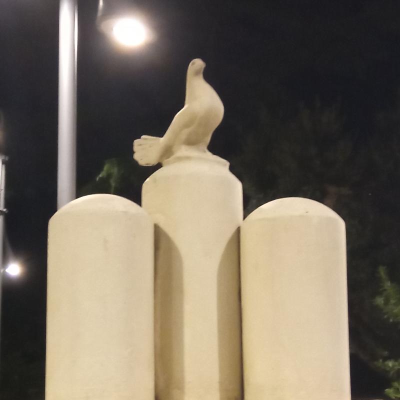 Fotosegnalazione di Palombara sabina