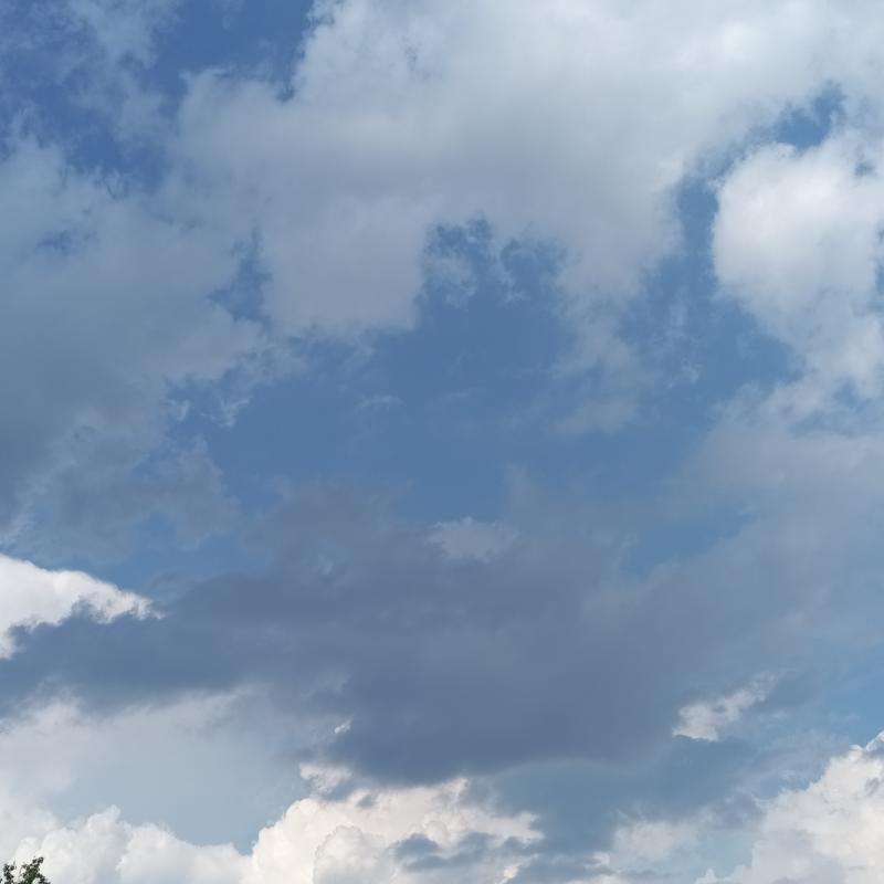 Fotosegnalazione di Forno canavese