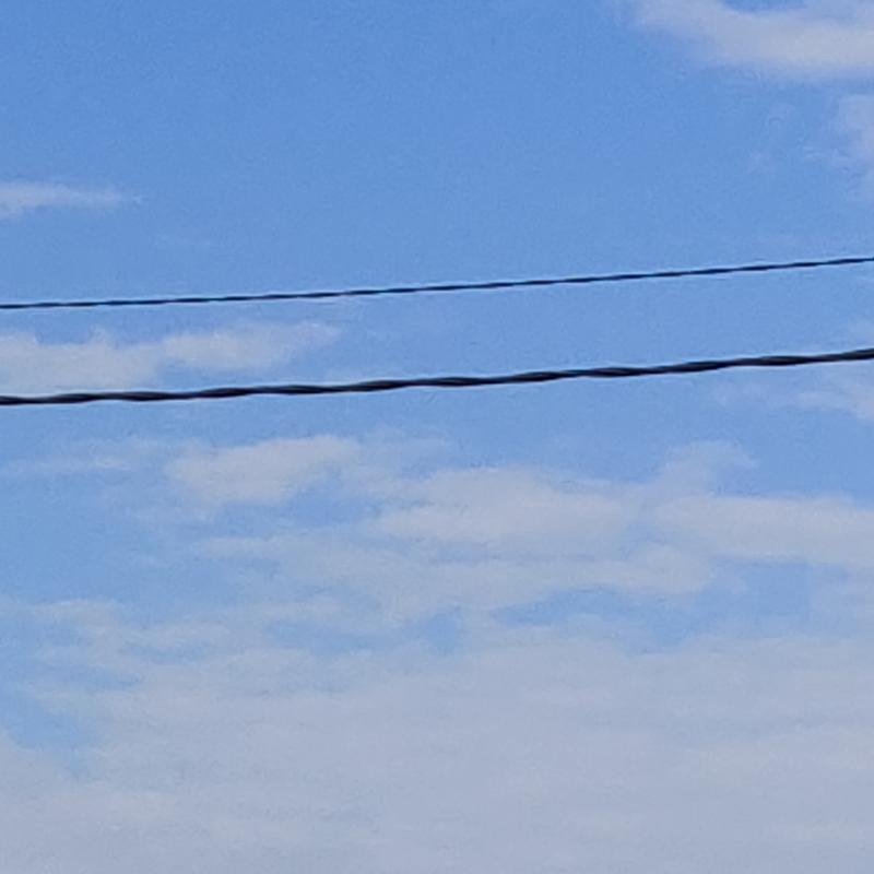 Fotosegnalazione di Gorizia lucinco