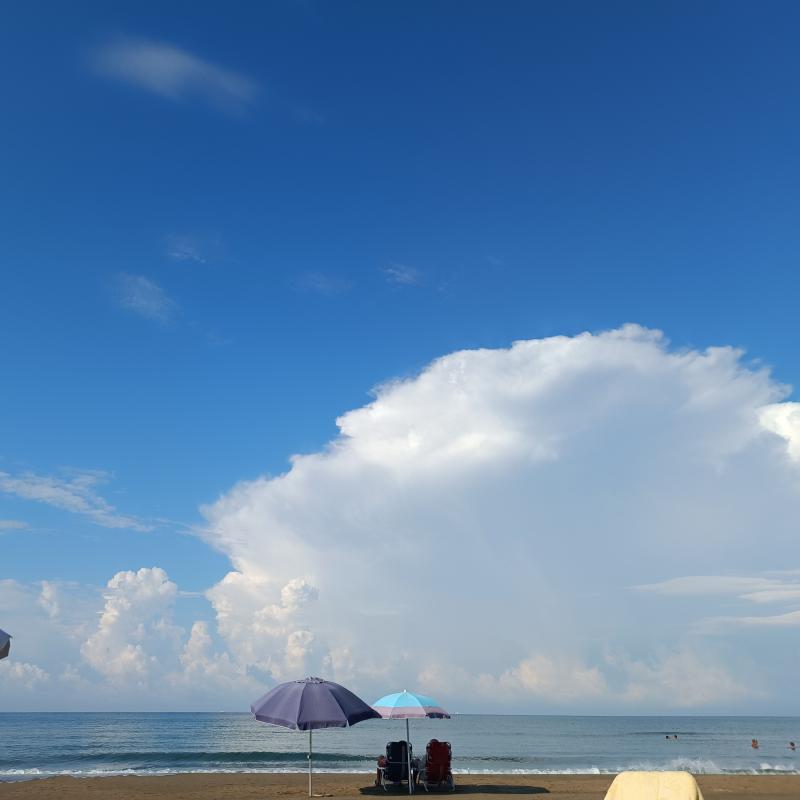 Fotosegnalazione di Tor san lorenzo