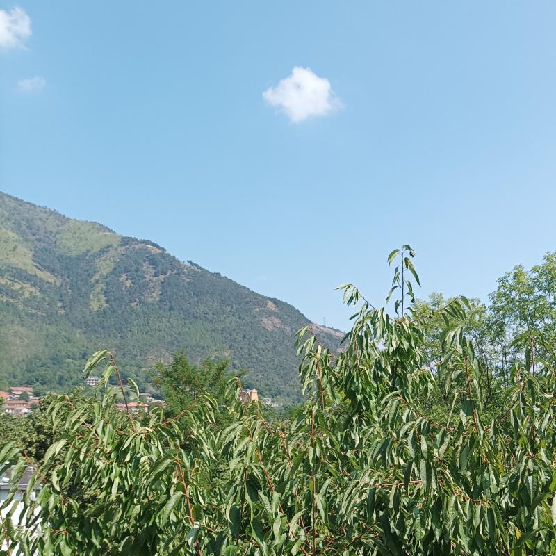 Fotosegnalazione di Val della torre